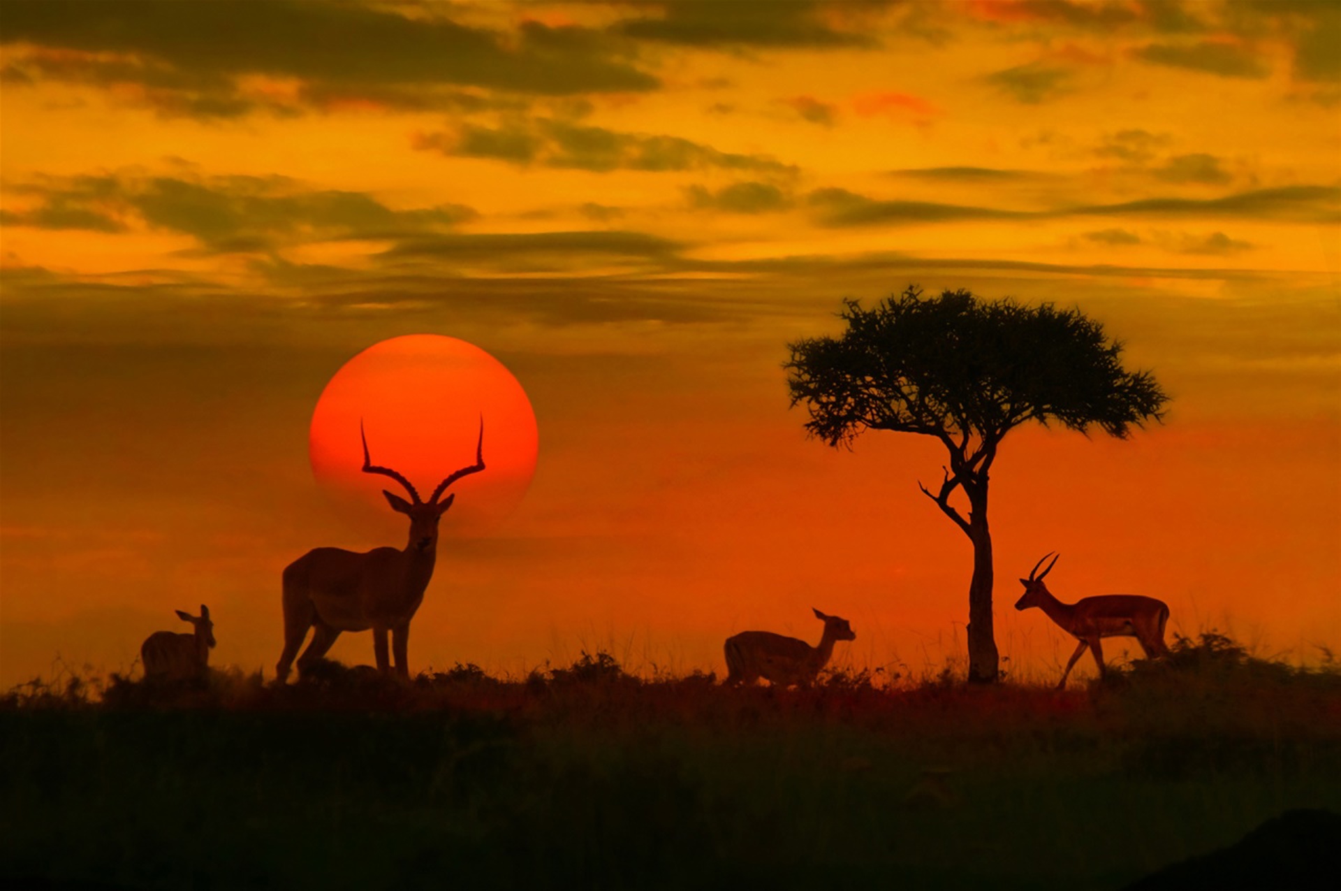 KRUGERNP