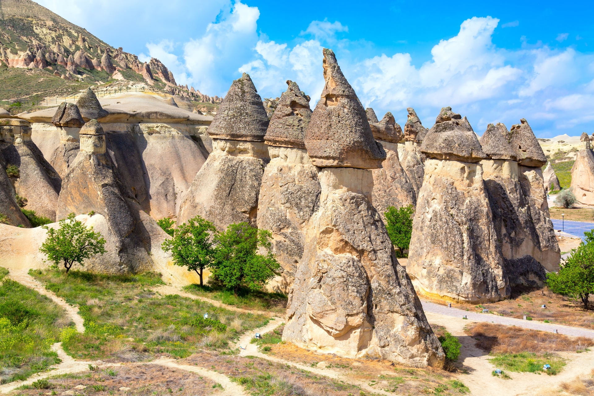 Fairy chimneys rock formations in Pasabag valley in Cappadocia, Turkey. Popular -passabalar tourist destination in Turkey