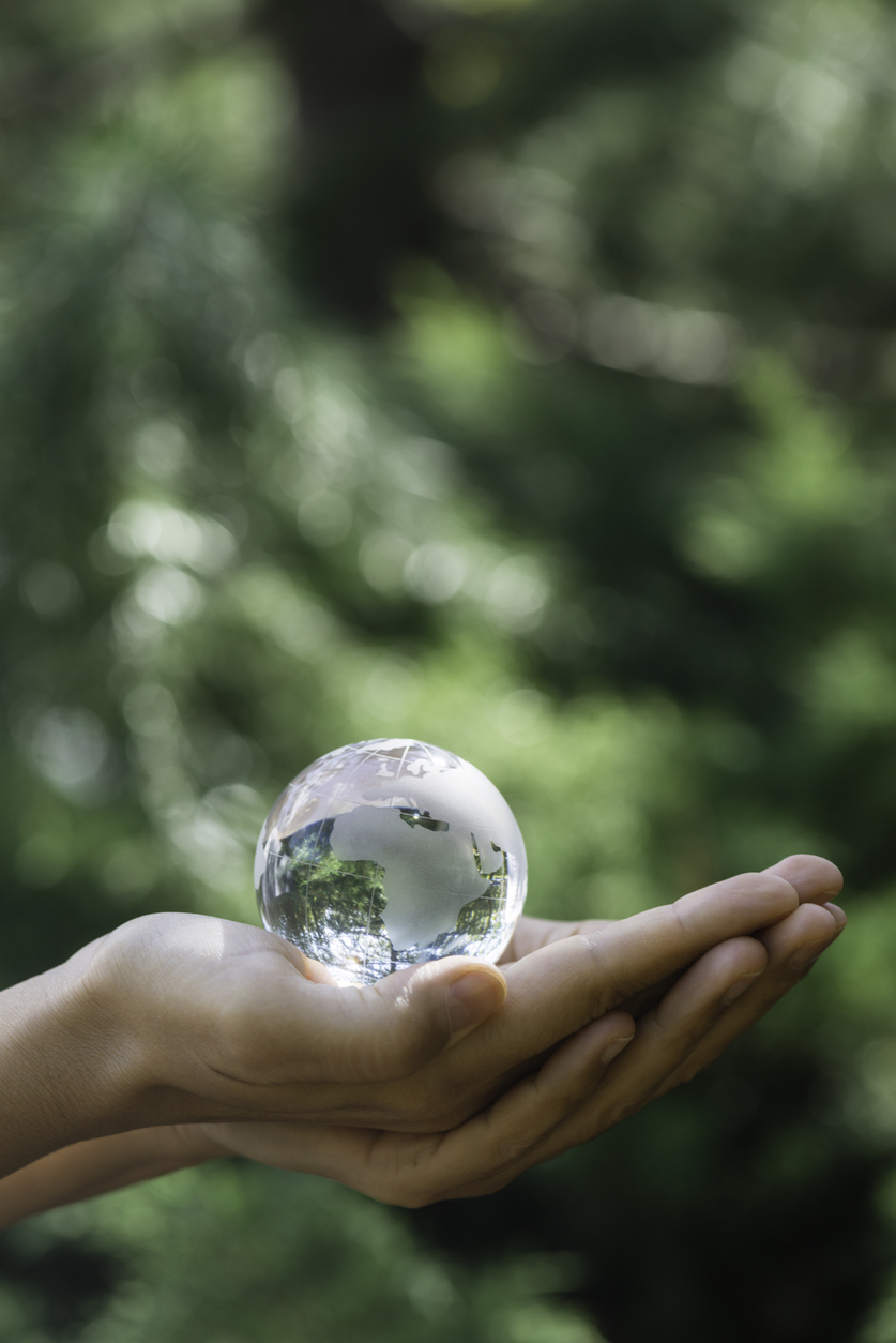 gamilia taksidia - Eco friendly 