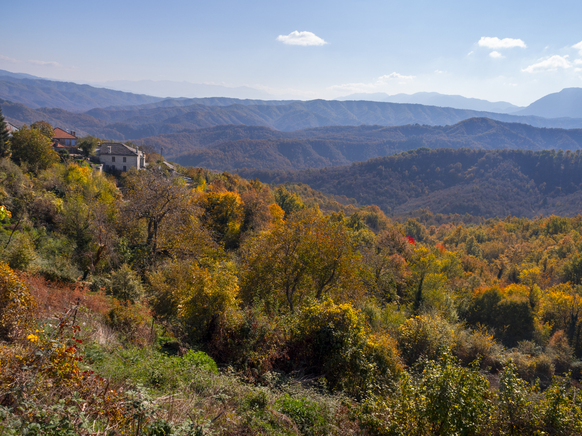 Η Κραυγή της Πίνδου: Το βουνό μέσα από τα μάτια ενός λύκου