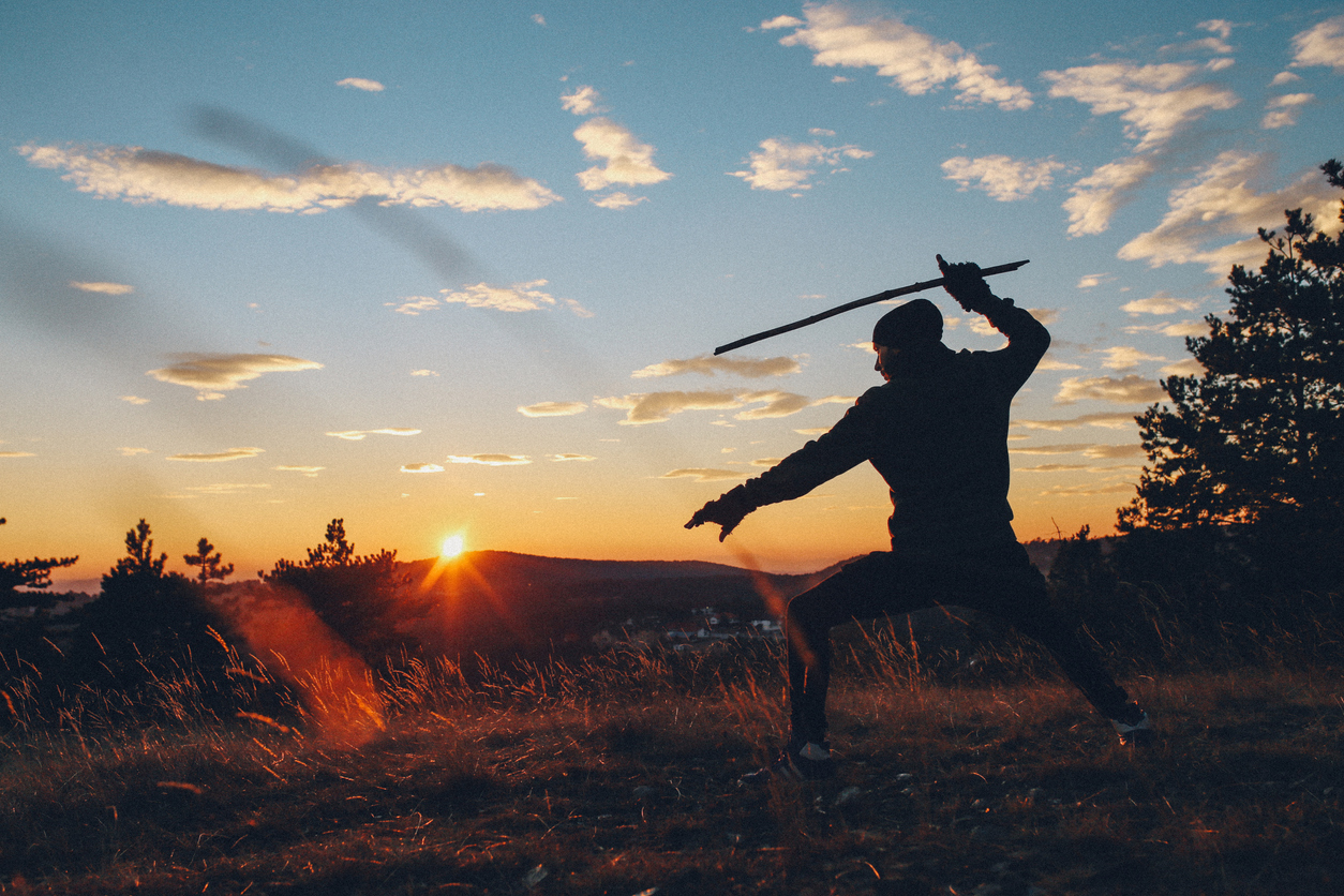 Οι πολεμιστές της Ιαπωνίας