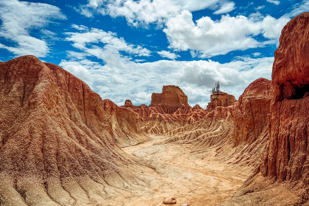 Έρημος Τατακόα 