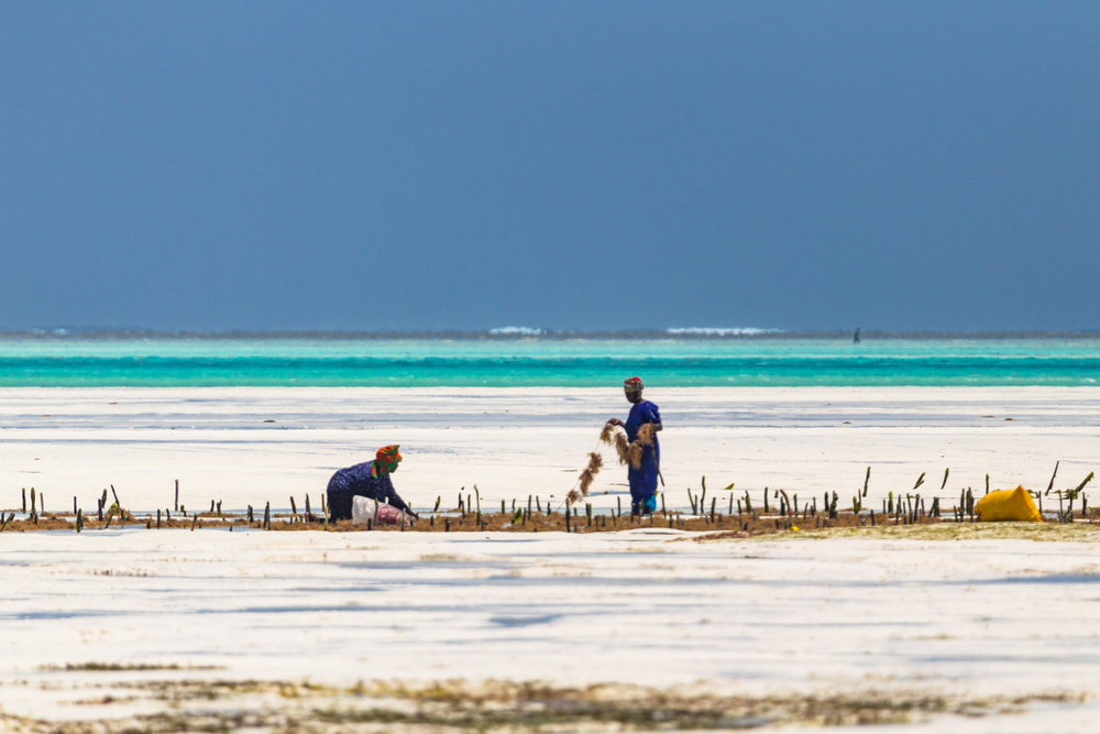 Στα χωριά της Ζανζιβάρης 