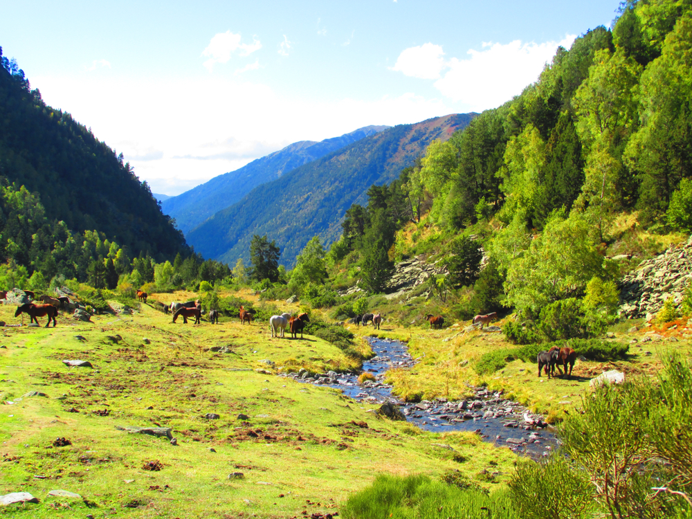 Φυσικό Πάρκο Sorteny