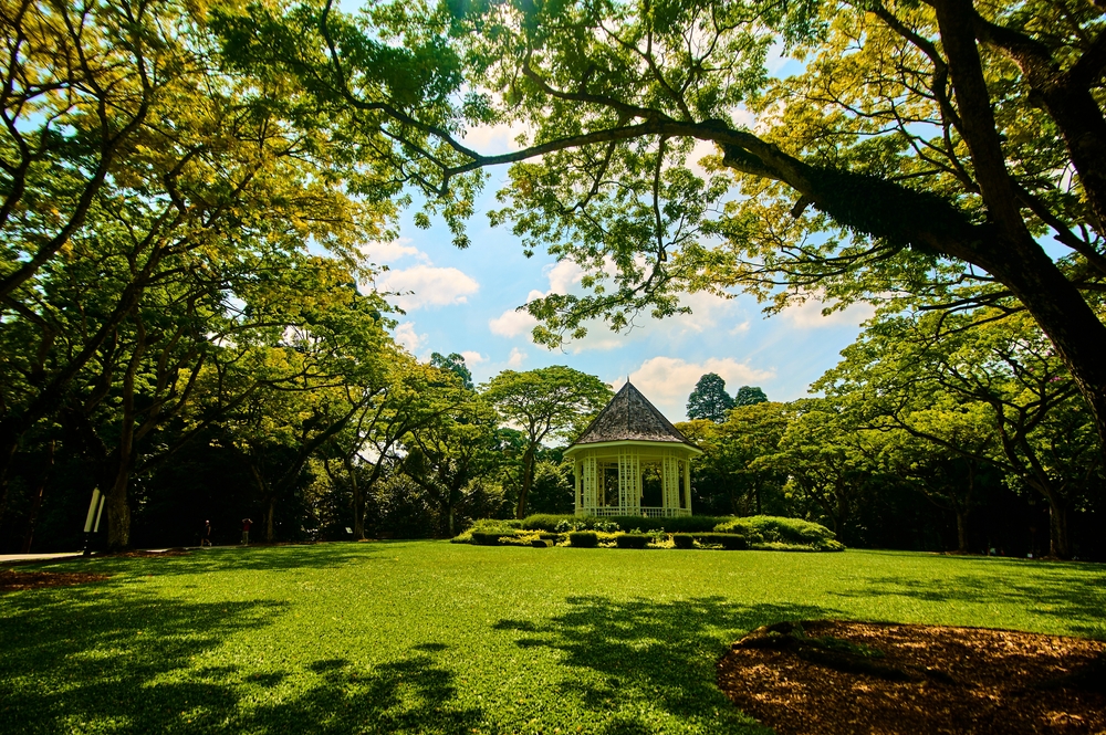 Οι Βοτανικοί Κήποι