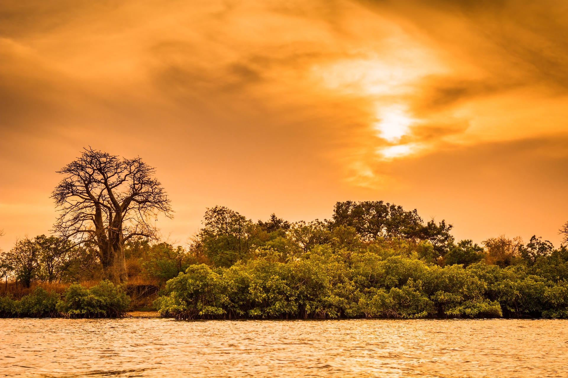 Τουμπακούτα