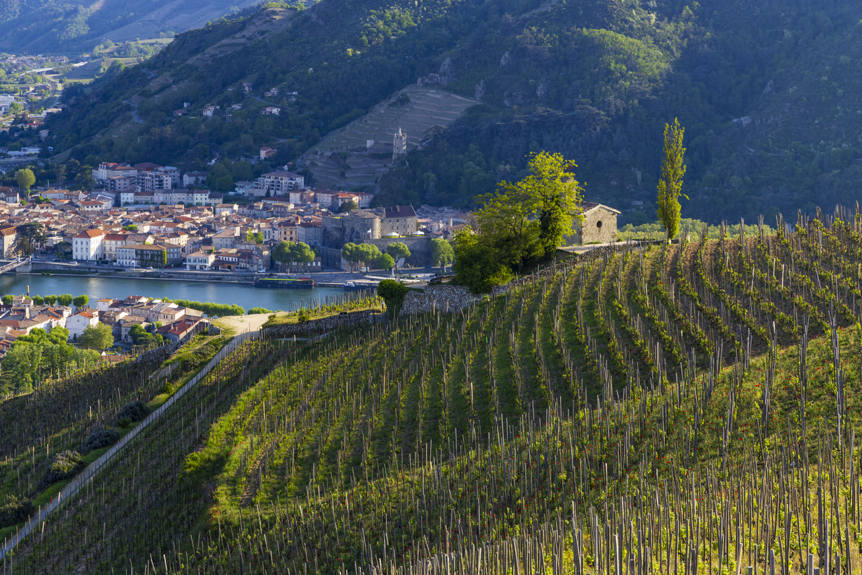 Κοιλάδα του Ροδανού