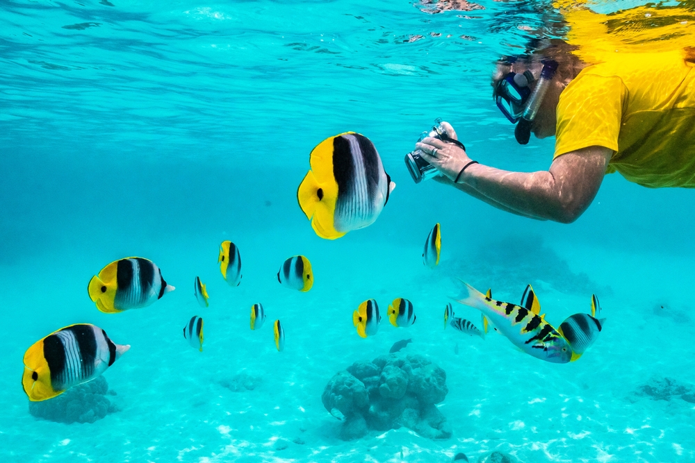 Η λιμνοθάλασσα της Moorea 