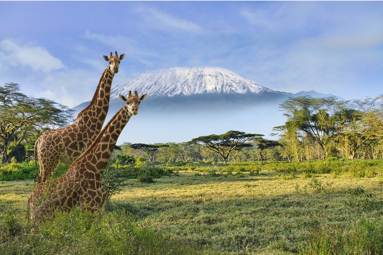 Το Εθνικό Πάρκο Amboseli