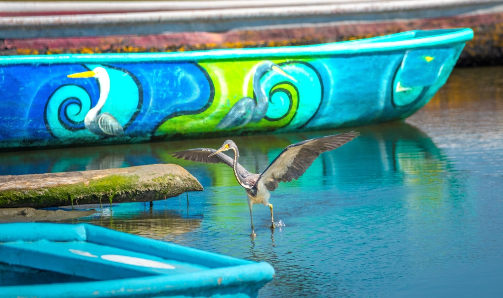 Λα Μποκουίλα 