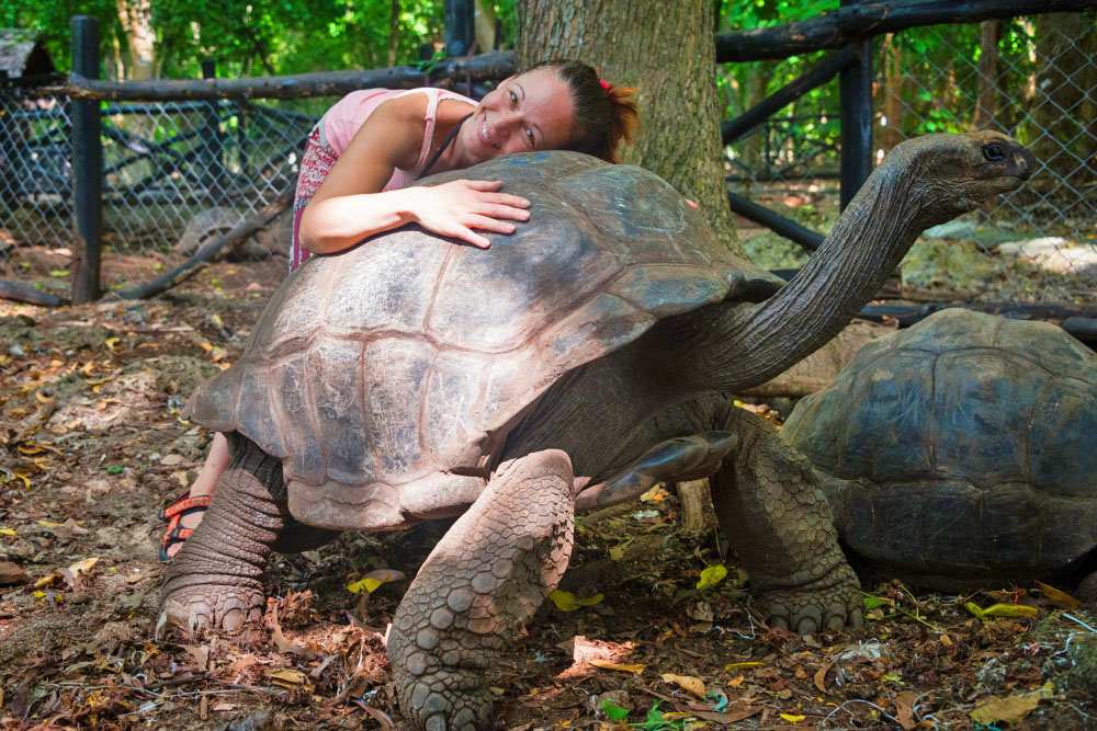 To νησί των φυλακών 