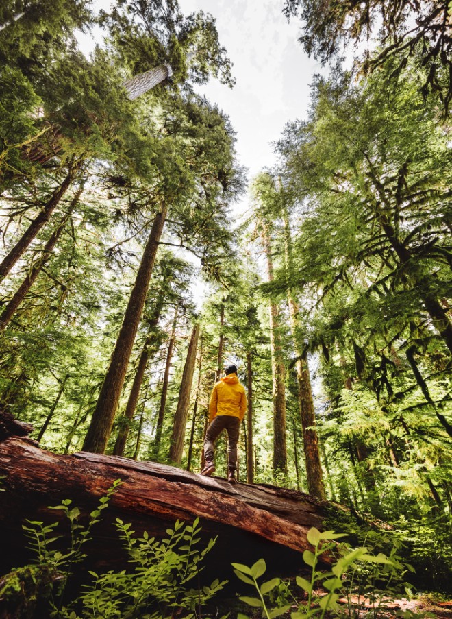 Eξερεύνηση στη φύση 