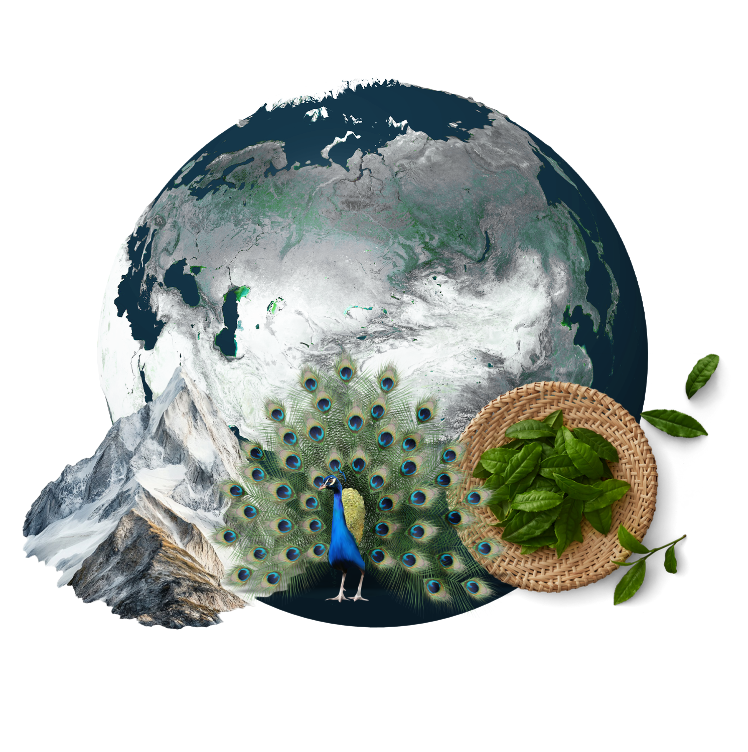 Ινδική Υποήπειρος