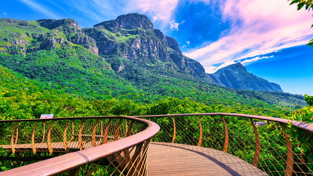 Εξερευνήστε τον Εθνικό Βοτανικό Κήπο Kirstenbosch
