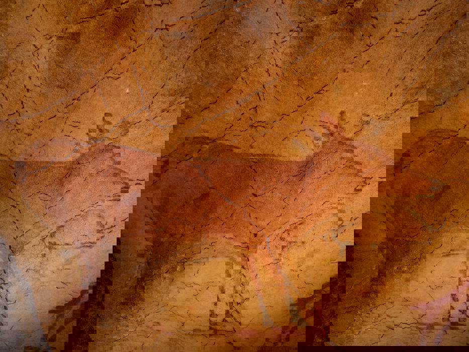 Oι σπηλιές της Αλταμίρα