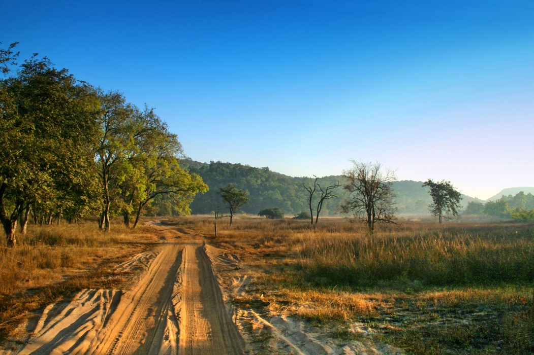 Εθνικό Πάρκο Bandhavgarh
