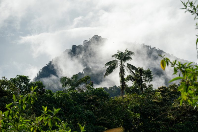 Μοναδικό οικοσύστημα 