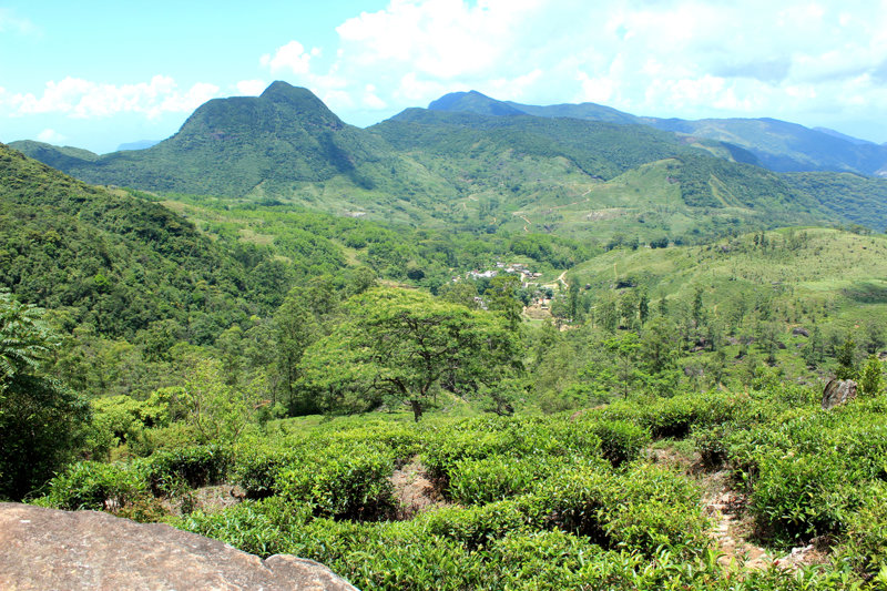 Εθνικός Δρυμός Knuckles, Μνημείο UNESCO