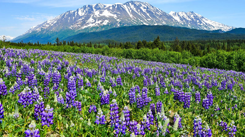 H Αλάσκα με μιά ματιά 