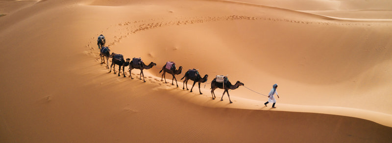 Οι αμμόλοφοι της Μερζούγκα