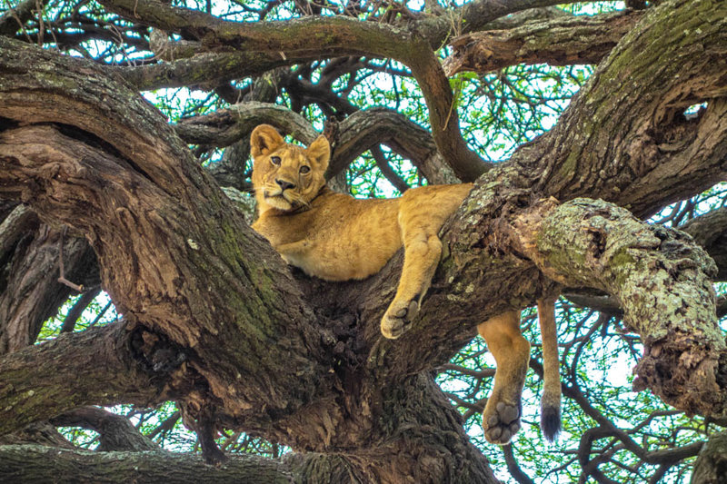 Το Εθνικό Πάρκο της Λίμνης Mανιάρα 