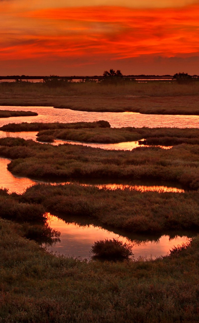 Εκδρομή στο Δέλτα του Έβρου