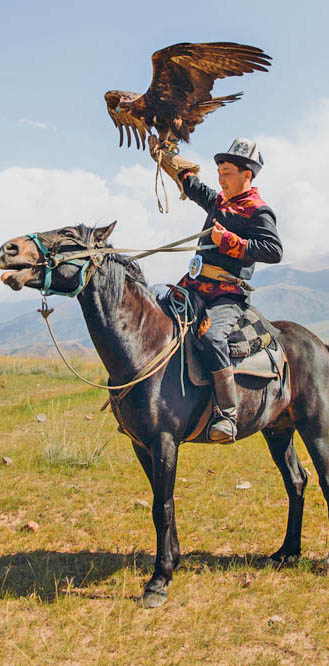 Eagle Hunting Presentation 