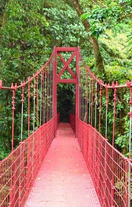 Διαμένουμε και εξερευνούμε το δάσος νεφών Μοντεβέρδε 