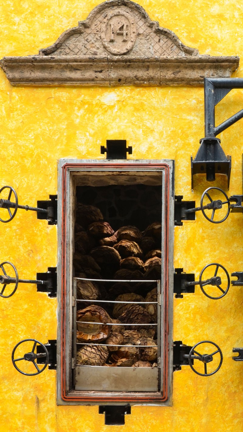 Γνωρίζουμε την Τεκίλα, από την αρχή!