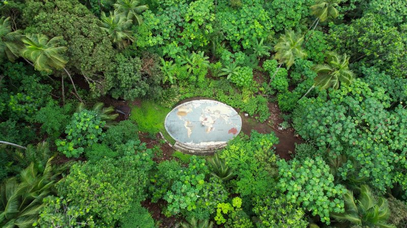 Πεζοπορία στο παρθένο δάσος