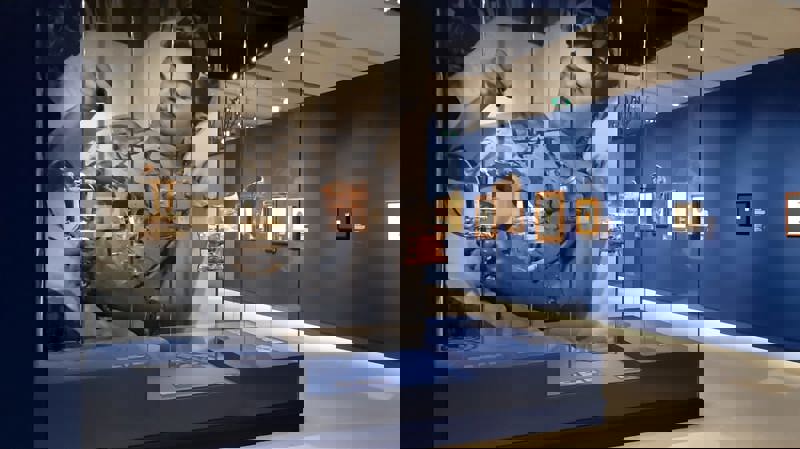 Μουσείο Φρίντα Κάλο, Μεξικό