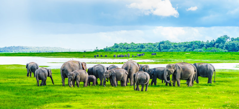ΝΟΥΒΑΡΑ ΕΛΙΓΙΑ – ΚΑΤΑΡΡΑΚΤΕΣ ΡΑΒΑΝΑ – ΕΛΛΑ – ΤΙΣΣΑΜΑΧΑΡΑΜΑ/ΕΘΝΙΚΟ ΠΑΡΚΟ ΓΙΑΛΑ