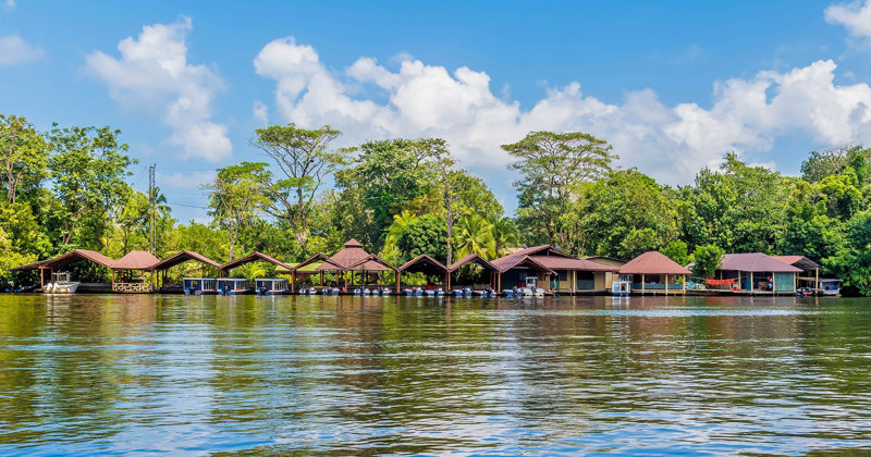 Θα γνωρίσουμε την αφροκαραϊβική κουλτούρα