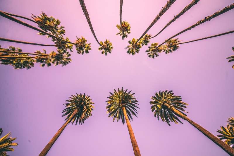 ΛΟΣ ΑΝΤΖΕΛΕΣ – πτήση επιστροφής