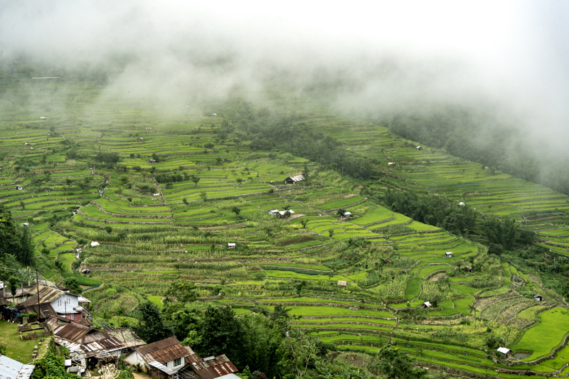 ΚΟΧΙΜΑ – ΦΕΣΤΙΒΑΛ ΧΟΡΝΜΠΙΛ ΣΤΟ ΧΩΡΙΟ ΚΙΣΑΜΑ – ΧΟΝΟΜΑ 