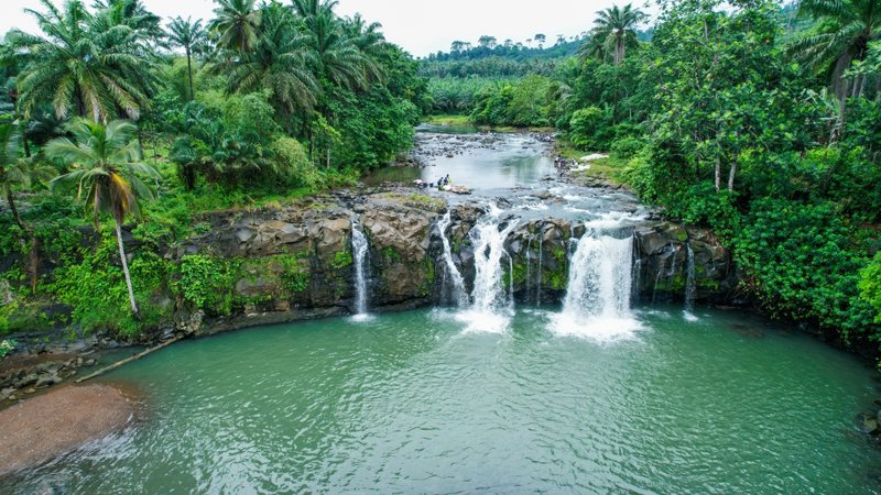 ΣΑΟ ΤΟΜΕ: ΤΡΙΝΤΑΝΤΕ – ΜΠΑΤΕΠΑ – ΦΥΤΕΙΑ MONTE CAFE 