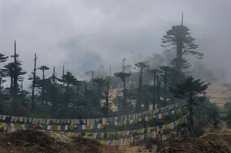 Το πέρασμα Thrumshing La