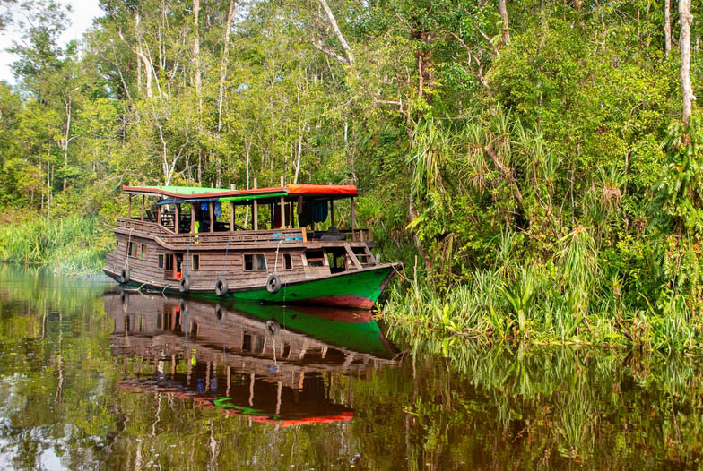 Διαπλέουμε ποταμούς του νότιου Βόρνεο 