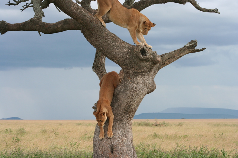 Σαφάρι σε ένα από τα πλουσιότερα πάρκα του κόσμου