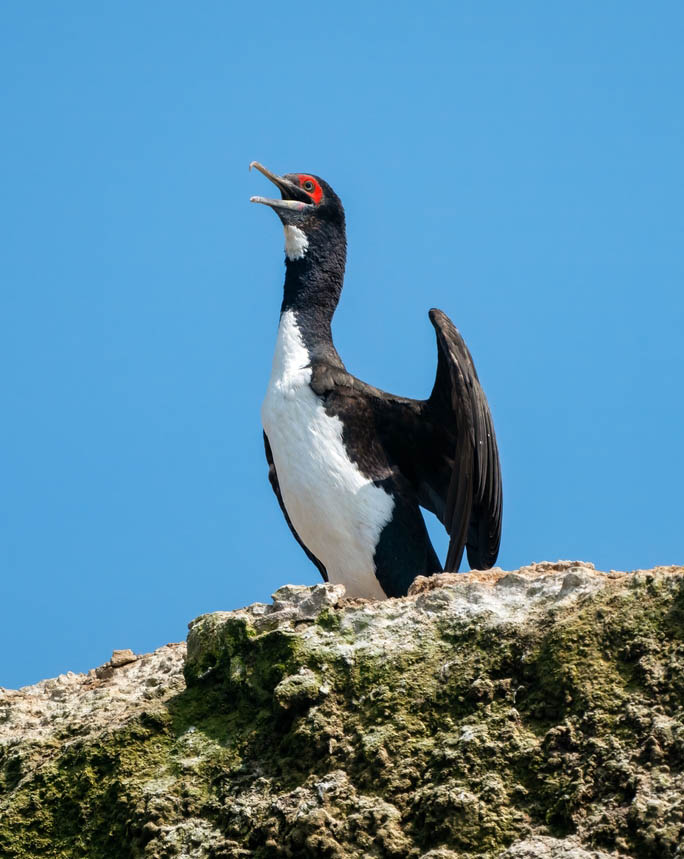 Ανακαλύψτε τα νησιά Μπαγιέστας 
