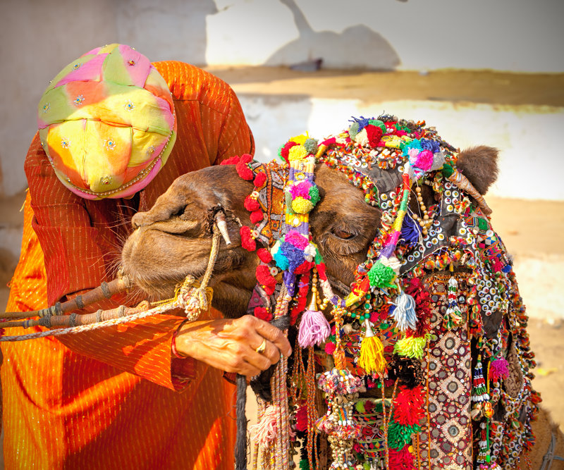Iνδία: Ρατζαστάν, Γκουτζαράτ, Βομβάη, με τις γιορτές Πουσκάρ