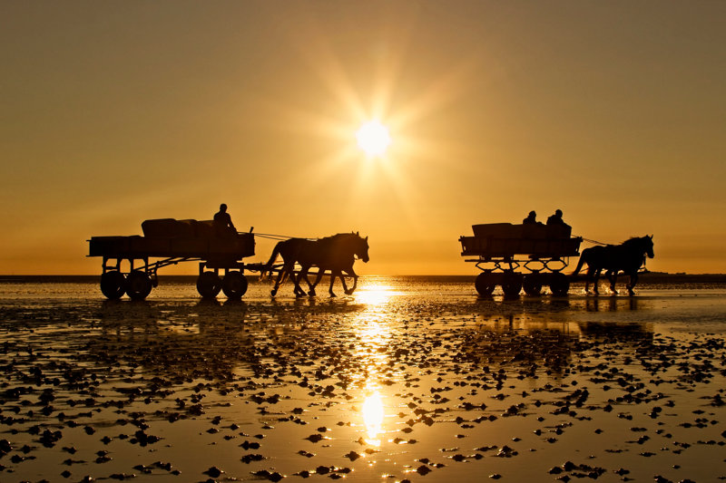 Η διαδρομή προς το νησάκι Νόιβερκ, Γερμανία