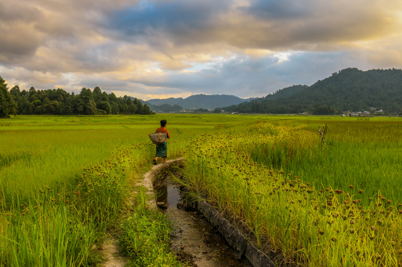 Επίσκεψη στα αγροκτήματα της φυλής