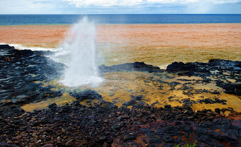 Το Σπάουτινγκ Χορν