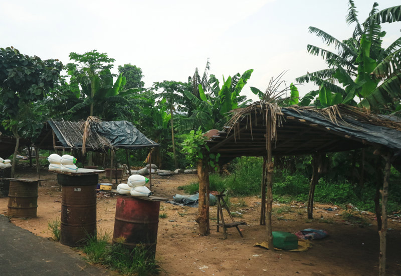 ΚΟΡΟΓΚΟ – ΠΕΡΙΟΧΗ ΤΩΝ ΦΟΥΛΑΝΙ – ΚΟΥΤΟ