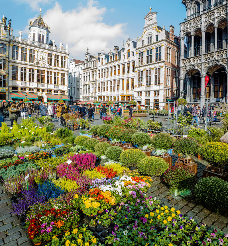 Πλούσιες ξεναγήσεις και επισκέψεις 