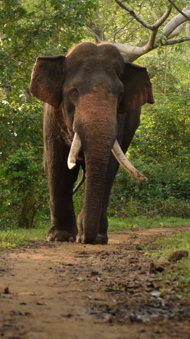 Τρεις διανυκτερεύσεις στη Χαμπαράνα