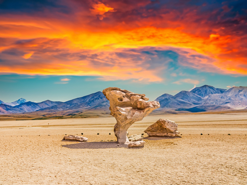 'Πέτρινο Δέντρο', Έρημος Σιλόλι, Βολιβία