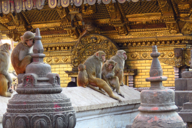  Ξενάγηση στο ναό Σουαγιαμπουνάθ