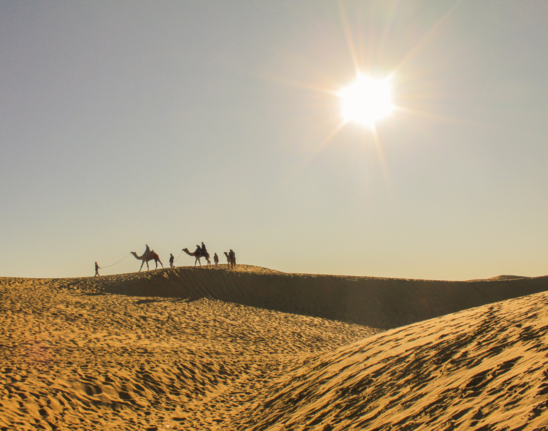 Βόλτα με καμήλες στην έρημο Θαρ